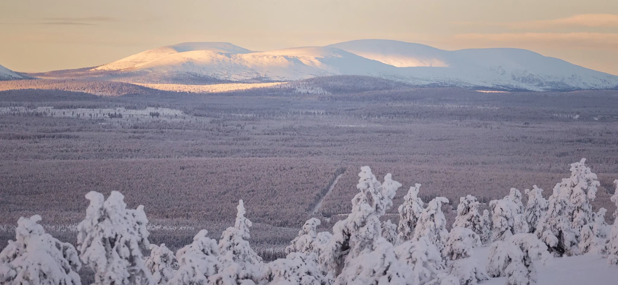 Lapland Action Arctic landscape