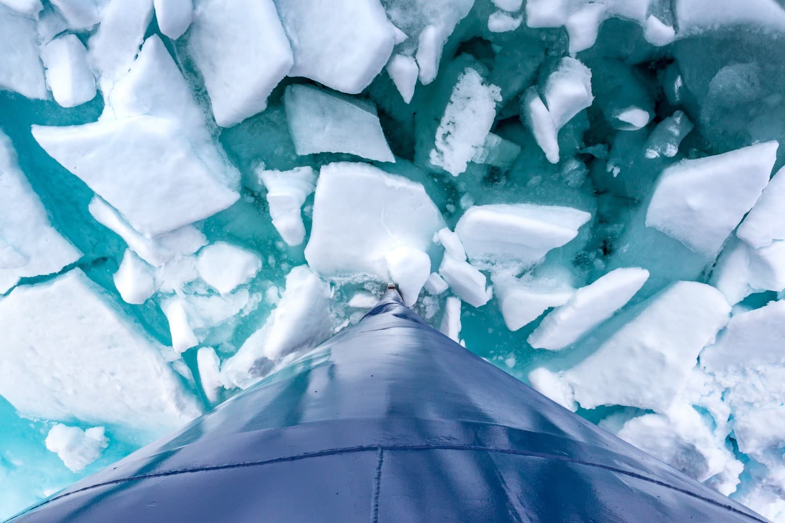 Arctic experience in Lapland